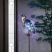 Wildon Home® Denin Metal Animal Garden Stake - Solar Powered Blue Heron Garden Stake Metal in Blue/Green | 42 H x 8.2 W x 2.3 D in | Wayfair