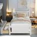 Alcott Hill® Brudvig Solid Wood Platform Bed Frame w/ 2 Drawers Wood in Brown/White | 39 H x 41.3 W x 79.9 D in | Wayfair