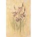 Winston Porter Purple Dream Irises by Cheri Blum Canvas, Solid Wood in Indigo | 12 H x 8 W x 1.25 D in | Wayfair 07692B0F987C41B794C3964E5D36E07B