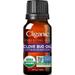 Cliganic Organic Clove Bud Essential Oil 100% Pure Natural for Aromatherapy | Non-GMO Verified