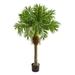 HomeStock Victorian Virtue 58In. Robellini Palm Artificial Tree
