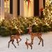 Aihimol 3Pcs Large Lighted Reindeer Christmas Decorations 3D Yard Deer Decor Family Set for Indoor or Outdoor Yard Art- with 210 Warm White LED Lights Ground Stakes Zip Ties