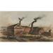 Excelsior Iron Works On New York City S East River At 14Th Street. Ca. 1855. History (36 x 24)