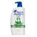 Head And Shoulders 2-In-1 Shampoo And Conditioner With Tea Tree Oil Anti Dandruff Treatment 32.1 Fl Oz