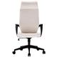 office chair Office Chair,Adjustable Chair Lift Swivel Chair, Computer Desk And Chair Office Chair Conference Chair Home Chair Bedroom Chair office chairs for home (Color : A) lofty ambition