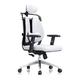 SHERAF office chair Ergonomic, Healthy and Comfortable Boss Chair, Executive Chair, Office Chair, Personality Chair, Waist Back, 3 Colors Optional office chairs for home (Color : A) lofty ambition