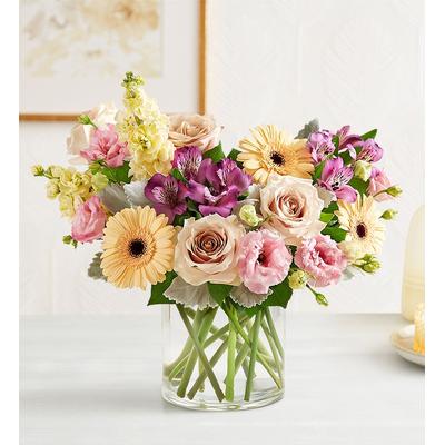 1-800-Flowers Everyday Gift Delivery Nature's Charm Medium