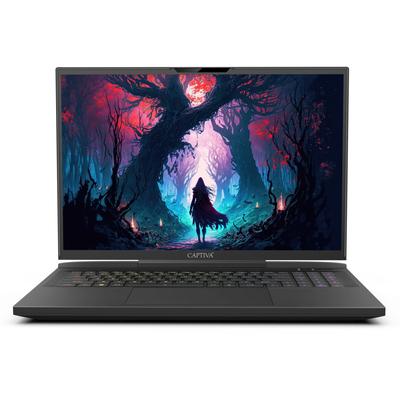 CAPTIVA Gaming-Notebook "Highend Gaming I81-497" Notebooks Gr. 64 GB RAM 4000 GB SSD, Core i9, Microsoft Windows 11 Home (64 Bit), schwarz