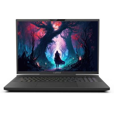 CAPTIVA Gaming-Notebook "Ultimate Gaming I81-517", schwarz, 16 GB RAM 1000 GB SSD, Core i9, Microsoft Windows 11 Home (64 Bit), Notebooks