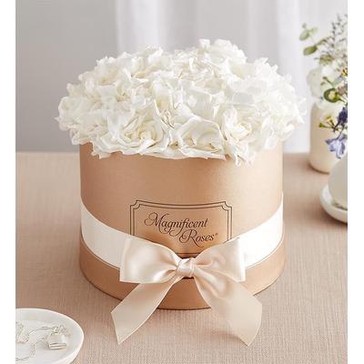 1-800-Flowers Flower Delivery Preserved Serene Gardenias By Magnificent Roses