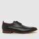 Base London gambino derby shoes in black