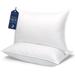 Queen Size Bed Pillows Set of 2, Plush Cooling Hotel Quality Pillows with Breathable Skin-Friendly Microfiber Cover - White