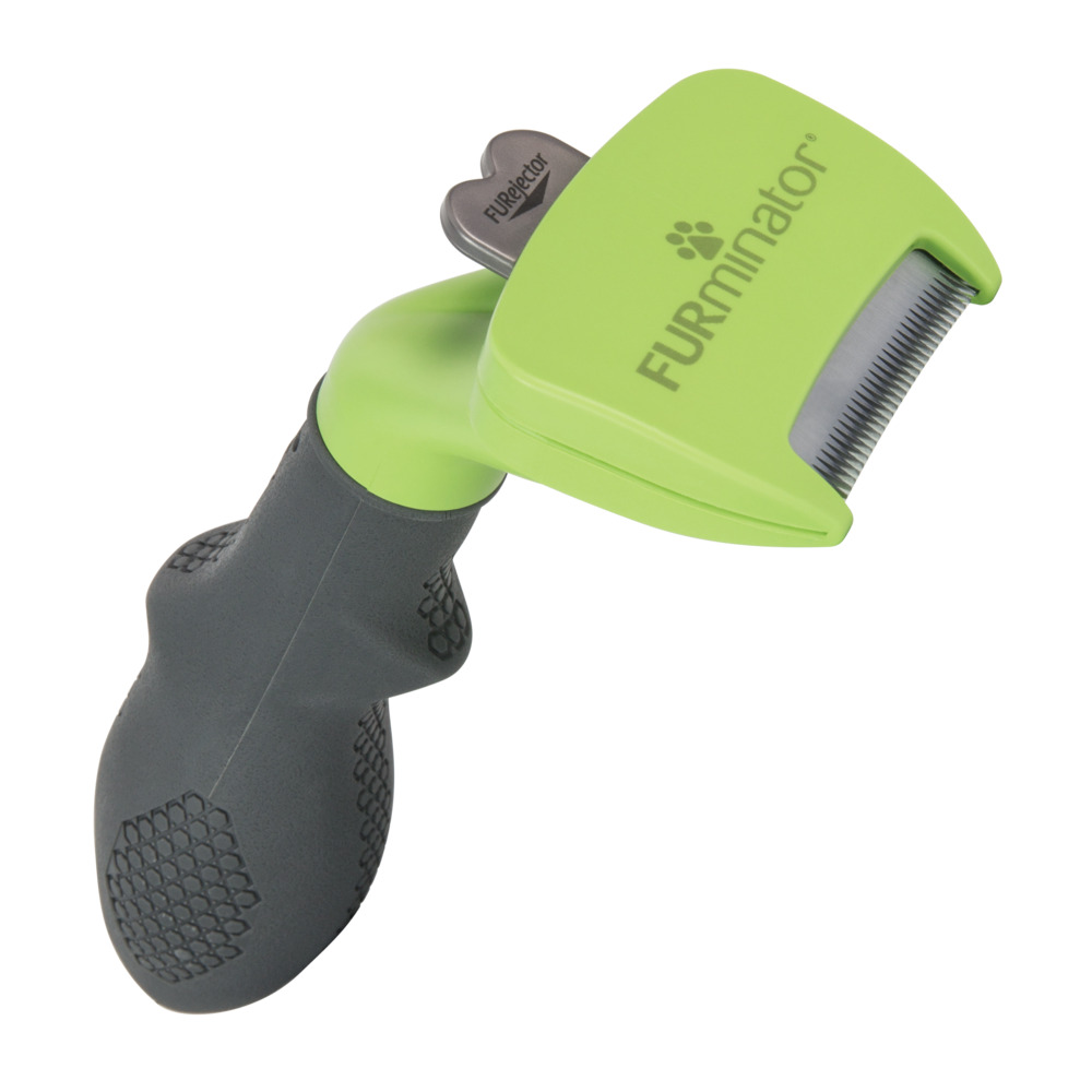 Small Long Hair Dog FURminator