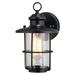 Lake Shore Steel 1 Light LED Compatible Black Coastal Outdoor Wall Lantern Clear Glass