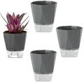 MODANU 4 Pack Self Watering Plant Pots Self Watering Planters for Indoor and Outdoor Plants African Violet 4.7 Self Watering Pots Clear Pots for Plants Herb Orchid Flower Houseplant Pots Grey