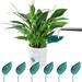 LIGHUFEIC 12PCS Plant Watering EC36 Funnel Devices Leaf Shape Watering Funnel Leaves Plant Pot Irrigation Watering Drip Devices Indoor and Outdoor Leaflow Plant Watering(Blue)