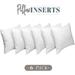 Elegant Comfort 22 x 22 Throw Pillow Inserts - 6-PACK Pillow Insert Poly-Cotton Shell with Siliconized Fiber Filling - Square Form Decorative for Couch Bed Inserts 22 x 22 inch