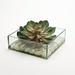 D&W Silks Pink/Green Echeveria in Square Aquarium Glass