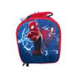 Disney Accessories | Disney Store Marvel Spider-Man Superhero Lunch Box Tote | Color: Blue/Red | Size: 8.5'' H X 7.75'' W X 3.5'' D