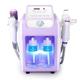 DYHQQ 6 in 1 Multifunction Hydrogen Oxygen Facial Machine,Pore Blackhead Deep Cleansing Face Care Machine for Salon And Home Use