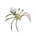 Metalkitor 3D Metal Puzzles for Adults, Halloween Decorations Pumpkin Spider Model Kit - Steampunk DIY Ornament - Assembly Crafts Brain Teaser - Perfect Room Decor and Gift Choice, 100+ PCS(White)