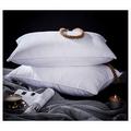 2pk Goose Feather Down Pillow Luxury pillowcase TC600 Computer Quilted Self piping Comforter Deluxe Best Hotel Quality Anti Allergy Super Soft Warm and Cosy (2pk Pillow 74x48cm)