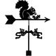 HYISHION Weathervane Cast Iron Squirrel Weather Vane with Roof Mounted Wind Direction Indicator Garden Metal Wind Vane Decorations Measuring Tool for Outdoor Roof Farm Yard