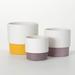 Ebern Designs Roever Ceramic Indoor Pot Planter Ceramic | 6 H x 6.25 W x 6.25 D in | Wayfair 6A1AE1AF10414C16BB640AC4E6BB61F0