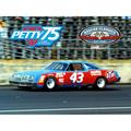 Action Racing Richard Petty 1979 #43 STP Oldsmobile 21st Daytona 500 Race Win 1:24 Regular Paint Die-Cast Car