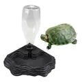 Fontaine à boire automatique pour reptiles en verre bassin à tortues boîte à reptiles décoration
