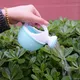 Arrosoir pour petits enfants jouets de bain récipient d'arrosage plantes jouets d'arrosage