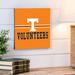 Evergreen Enterprises, Inc University of Tennessee - No Frame Print Plastic/Acrylic in Blue/White | 12 H x 12 W x 0.5 D in | Wayfair 6FC95512