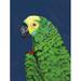 Winston Porter Parrot Head Navy by Pamela Munger Print Paper in Blue/Green | 16 H x 12 W x 1.25 D in | Wayfair 1B0DDD56F8F7434490E3CB35A3F8AC94