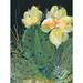 Dakota Fields Cactus II On Canvas by Kristy Rice Print Canvas in White | 48 H x 36 W x 1.25 D in | Wayfair 173E2F5EC0114D73BC07C876DCB15006