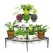 Metal Flower Pot Plant Stand Corner Shelves Display Indoor Outdoor Garden 3 Tier