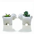 Planter Shaped Pots with Drainage Hole Flower Pot for Home and Office Decoration ( Style 6 )