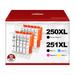 250XL 251XL Ink Cartridge Replacement for Canon PGI-250XL PGI 250 XL CLI-251XL CLI 251 XL to use with PIXMA MX922 MG5520 Printer (2 Large Black 2 Cyan 2 Magenta 2 Yellow 2 Small Black) 10 Pack