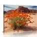 Nawypu Framed Canvas Wall Art Print On Canvas Desert Flowers and Ant Hills White Rim Road Moab Utah Pictures Posters Artwork for Living Room Bedroom Ready to Hang Wall Decor