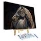 TISHIRON Animals Framed Paint by Numbers for Adults Horse Paint by Number Kits with Brushes and Acrylic Pigment Oil Hand Painting Canvas Gifts Art Crafts for Home 16"x20"