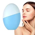 Rouleau de glace en silicone pour le visage masseur pour la peau du visage doux froid gonflé les