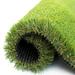 ColourTree Realistic Deluxe Artificial 1.98 inch Height Grass Synthetic Thick Lawn Turf Carpet | 1.98 H x 72 W x 936 D in | Wayfair TGC50-6' x 78'