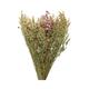 Decoris Trockenblumenstrauß 55cm getrockneter Blumenmix Gräser Frühlingsdeko zum Basteln