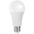 Aigostar - lampadina led A60 bulbo classico bianco freddo E27 f 17 watt