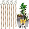 8-Pack Electroculture Copper Gardening Antenna - Pure Copper Wire Stakes for Growing Plants (12 Inch)