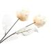 Artificial Flower Fade-less No Water Need Multi-purpose Cathay Pacific Rose Tulips Decor for Home