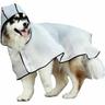 Imperméable Chien Transparent Imperméable pour Chien avec Capuchon Coupe-Vent et imperméable