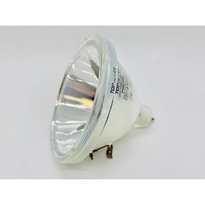 Philips P23 100/120W 1.3 AC Bare Lamp 9281 385 05390 - 1 Year Warranty