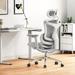 SIHOO Ergonomic Ofiice Chair Doro-C300, Auto-Adaptive Lumbar Support, and 3D Linkage Armrests, Black - 78*70*125