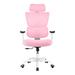 Latitude Run® Hilpa Ergonomic Gaming Chair w/ Headrest Mesh in Pink/White | 27.5 W x 27.5 D in | Wayfair 35AF0A3D776942B5A139CE210976D89F