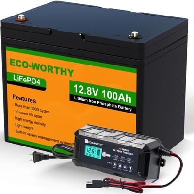 12V 100Ah LiFePO4 Akku Lithium batterie 12V und 10A Batterie Ladegerät BatterieLadegerät Image
